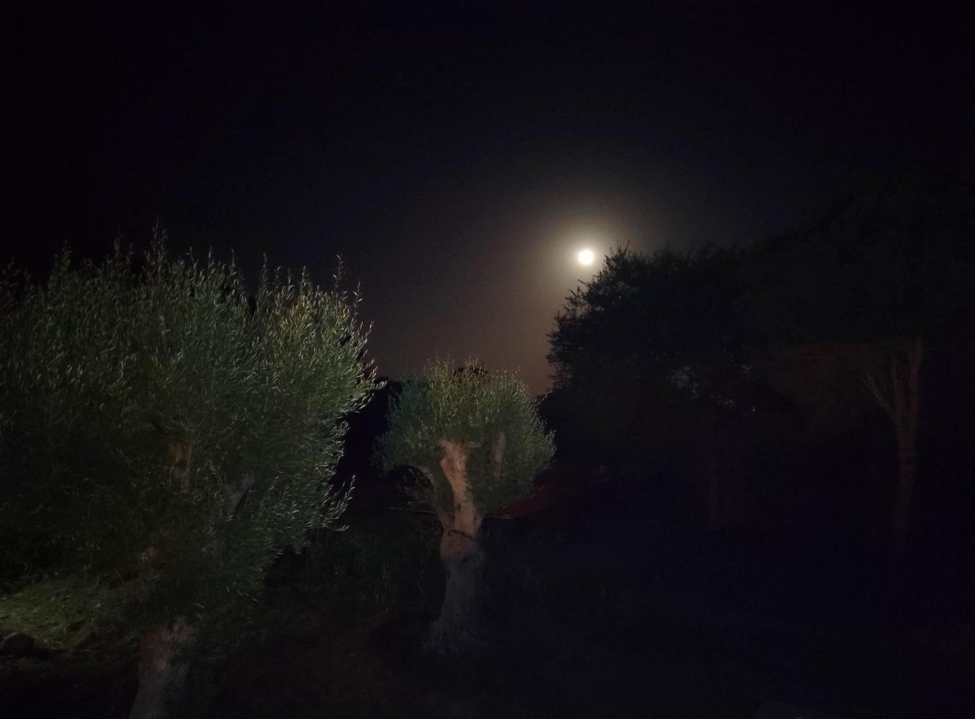Villa Orizzonte Sullo Jonio Avola Dış mekan fotoğraf