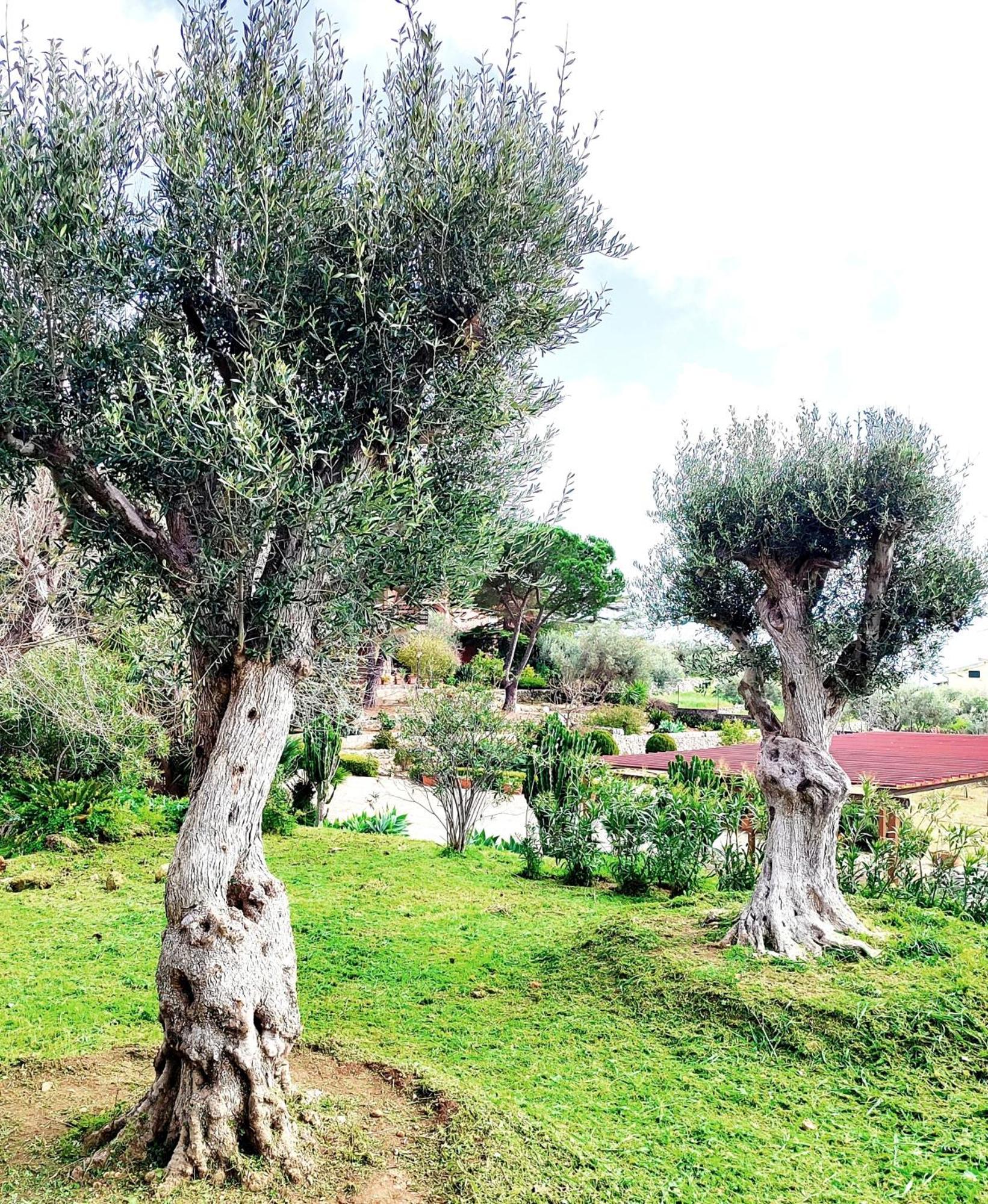 Villa Orizzonte Sullo Jonio Avola Dış mekan fotoğraf